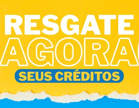 Nota piauiense