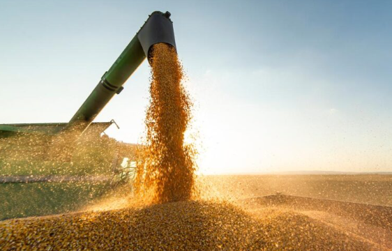 Safra agrícola do Piauí tem expectativa de recorde em 2026