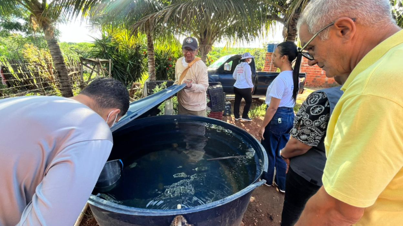 Cuidados contra a dengue