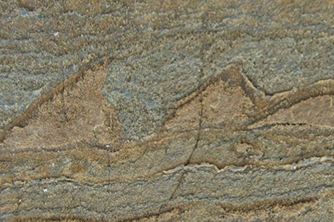 Cientistas descobrem fósseis mais antigos da Terra
