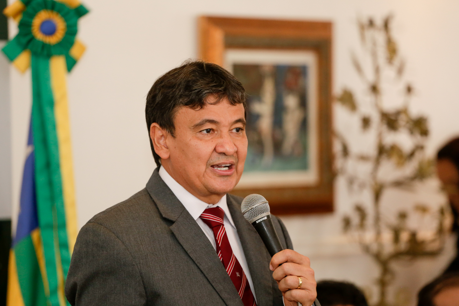 Wellington Dias