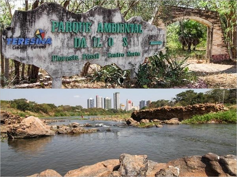 Parque Floresta Fóssil