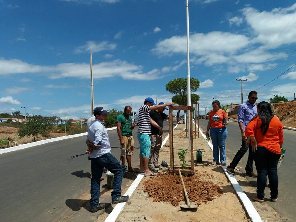 Projeto Piauí Mais Verde em Capitão Gervásio 