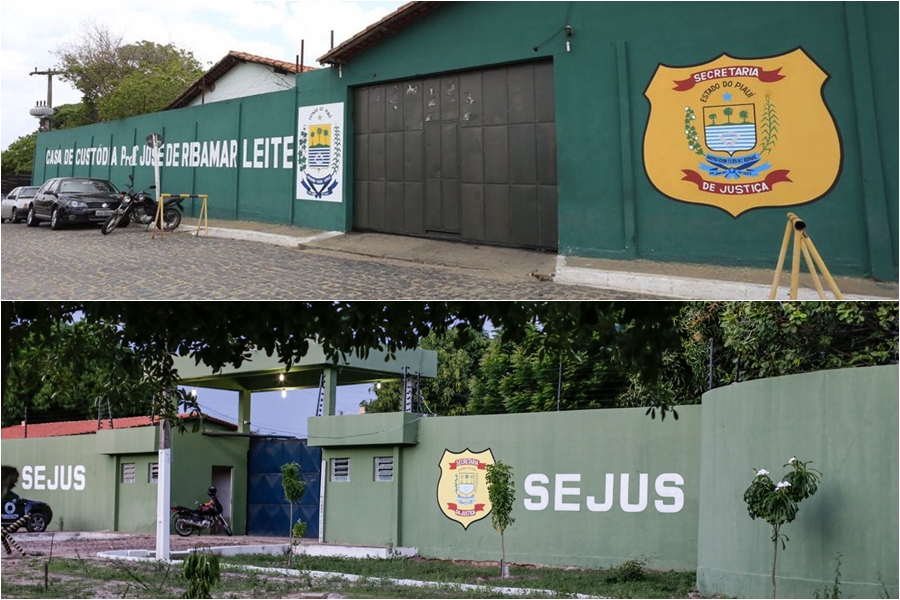 Casa de Custódia e Penitenciária Irmão Guido