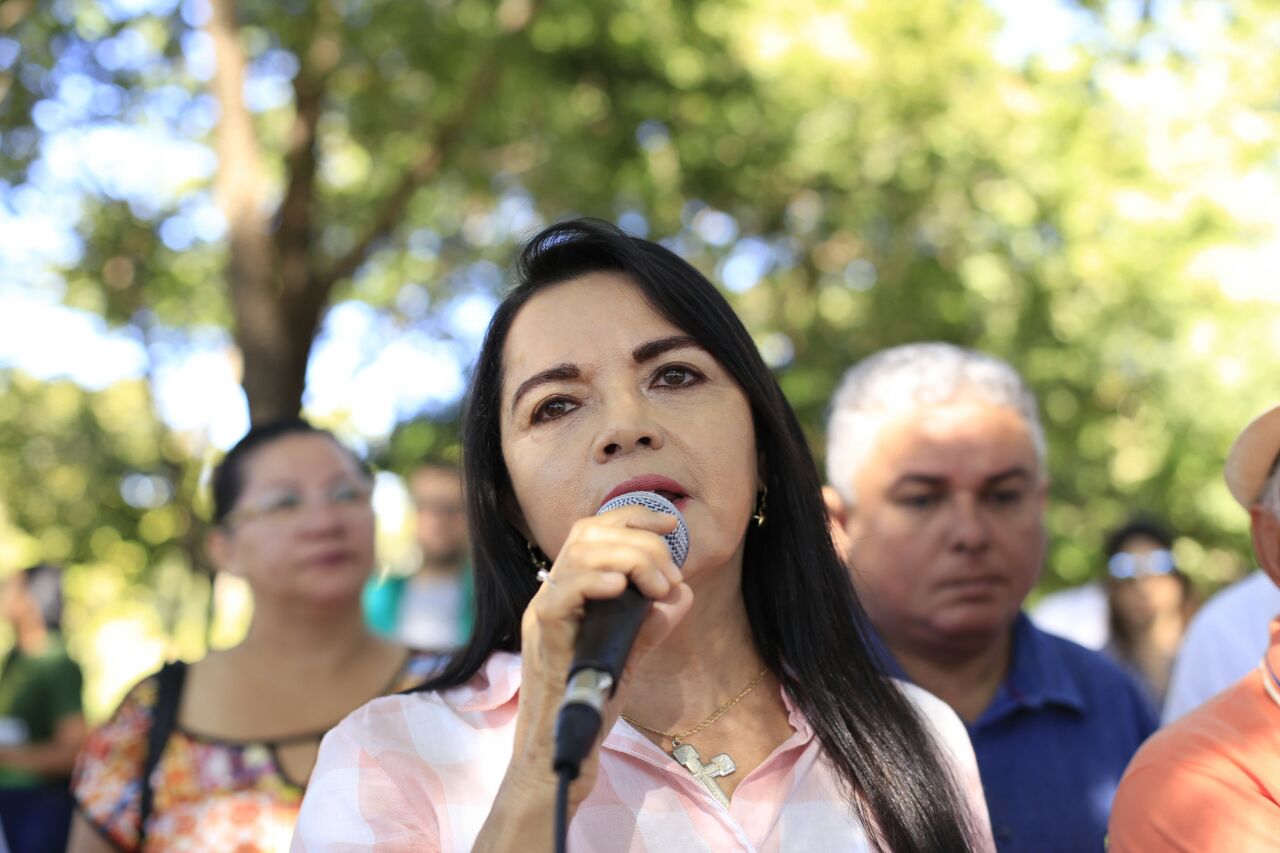 Vereadora Teresa Britto