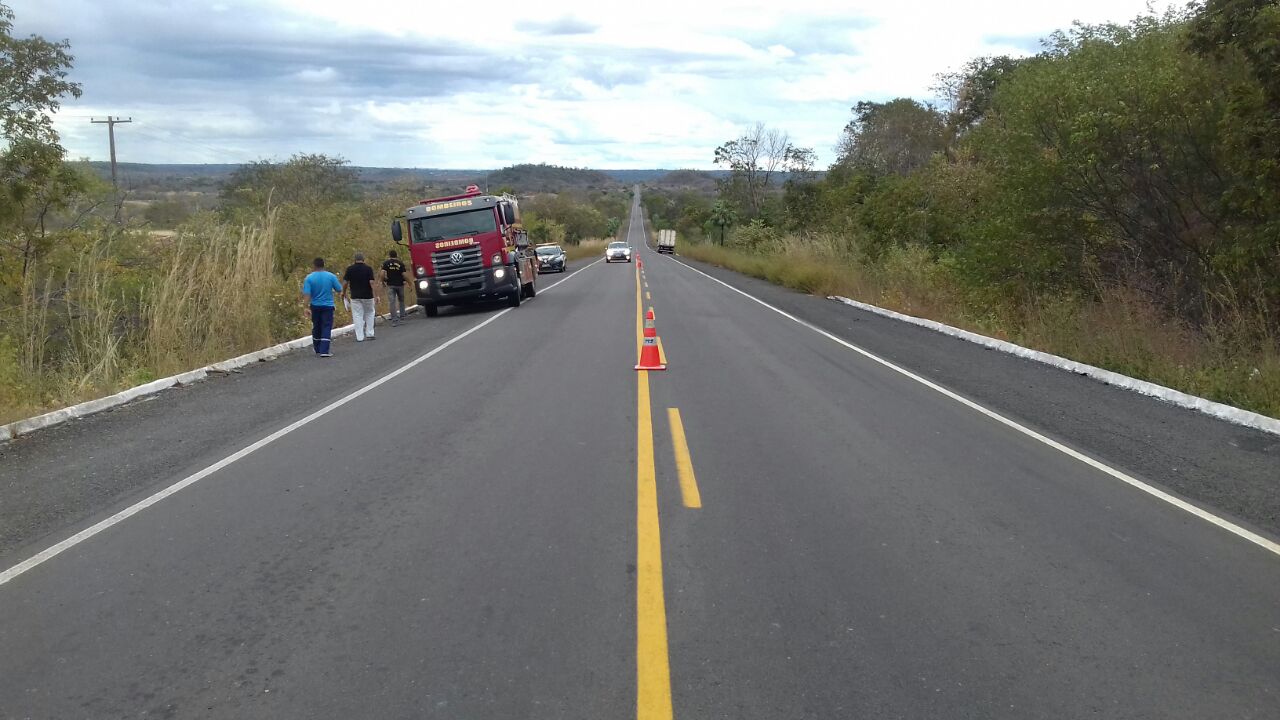 BR 230