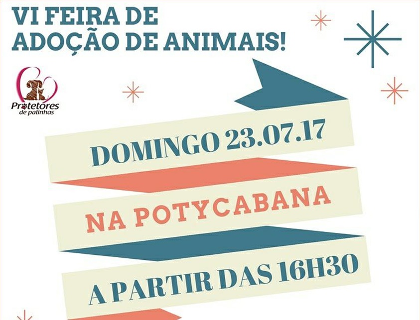 Feira de adoção de animais