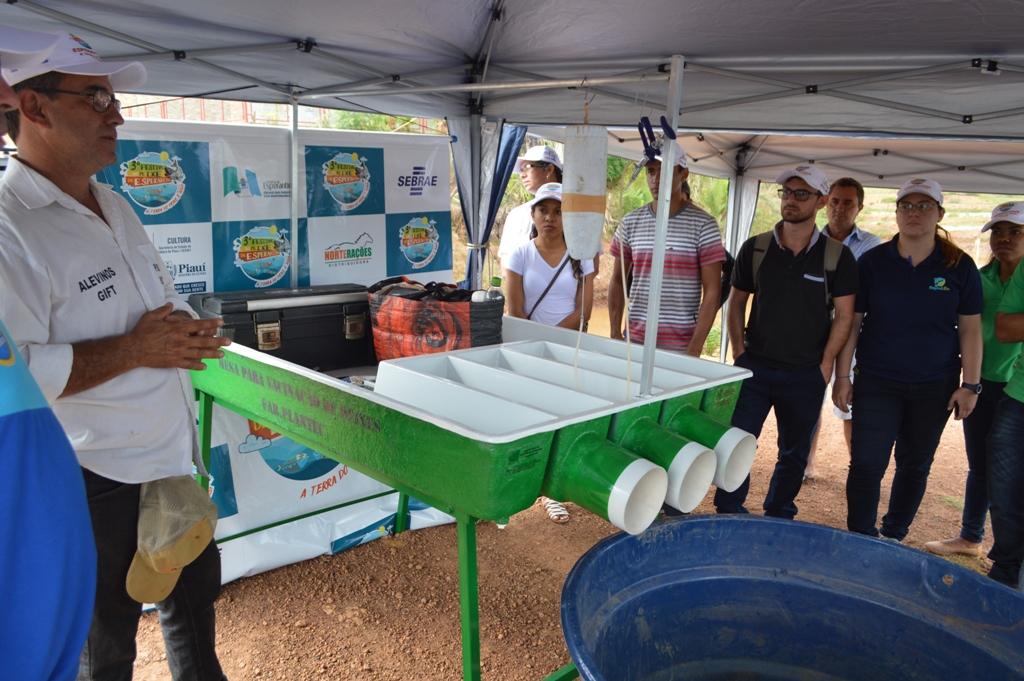 Dia do Campo em Esperantina