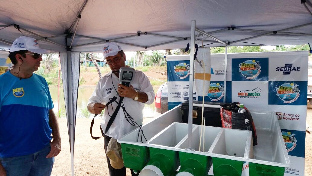Dia do Campo em Esperantina