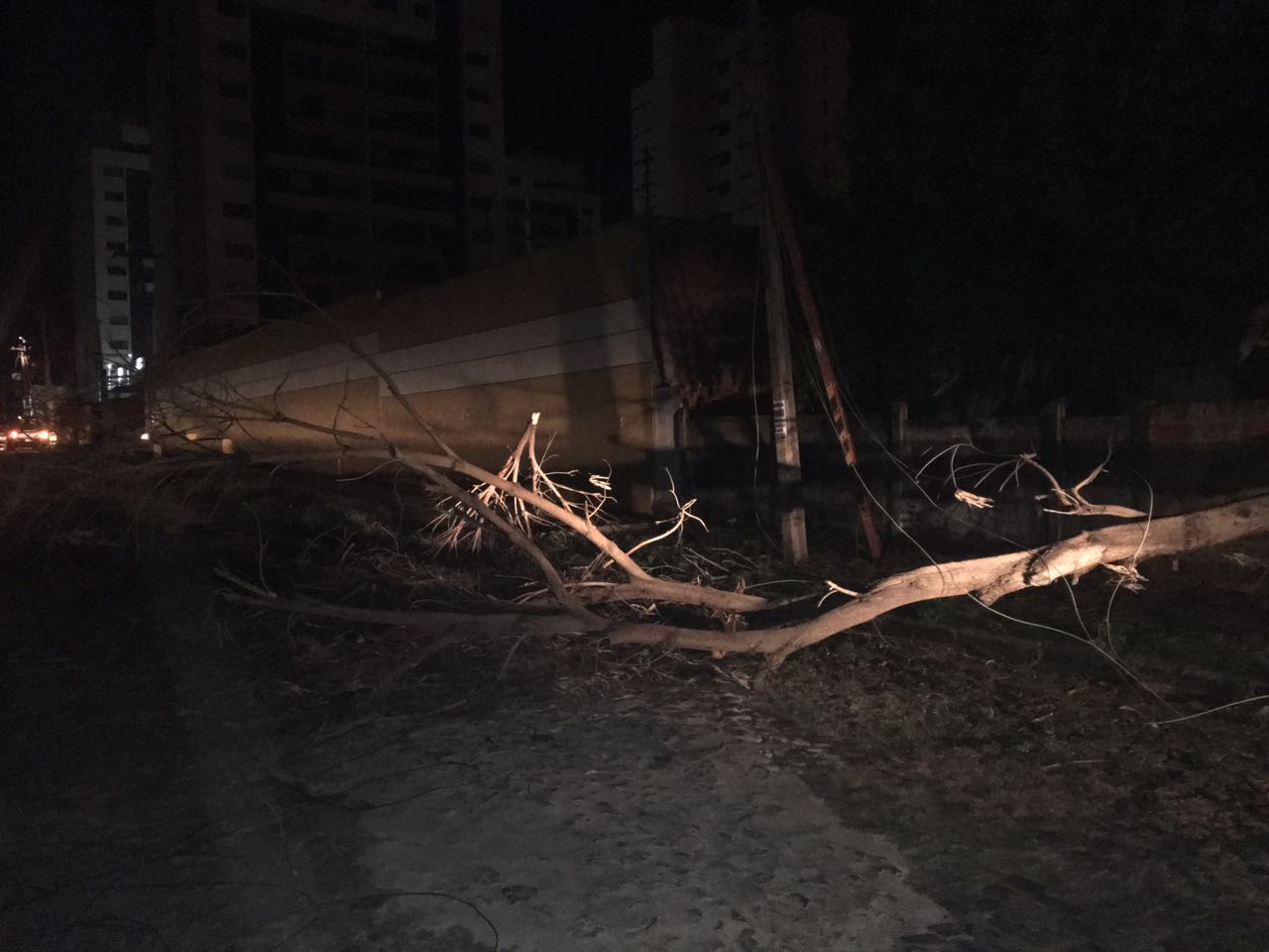 Queda de galho afetou energia da região