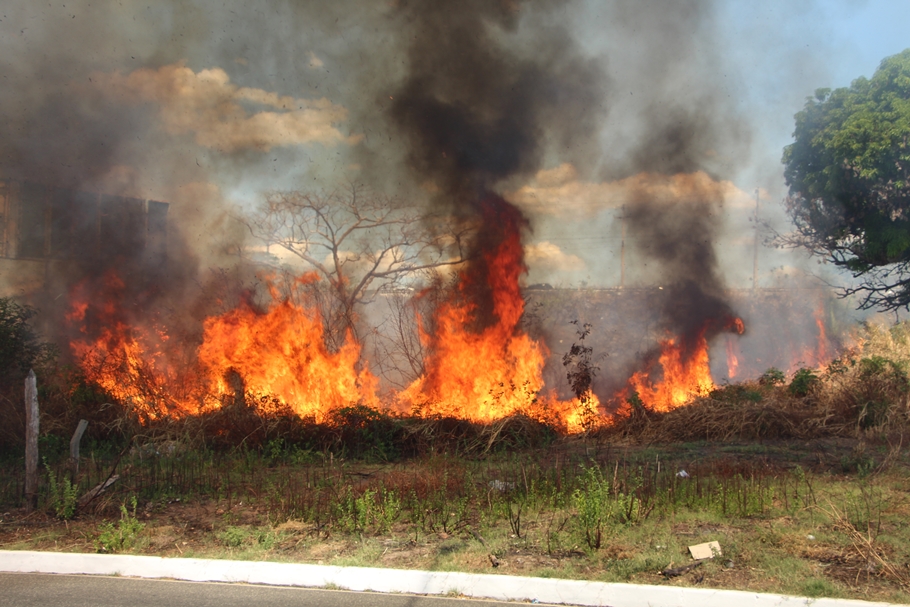 Incêndio tomou grandes proporções