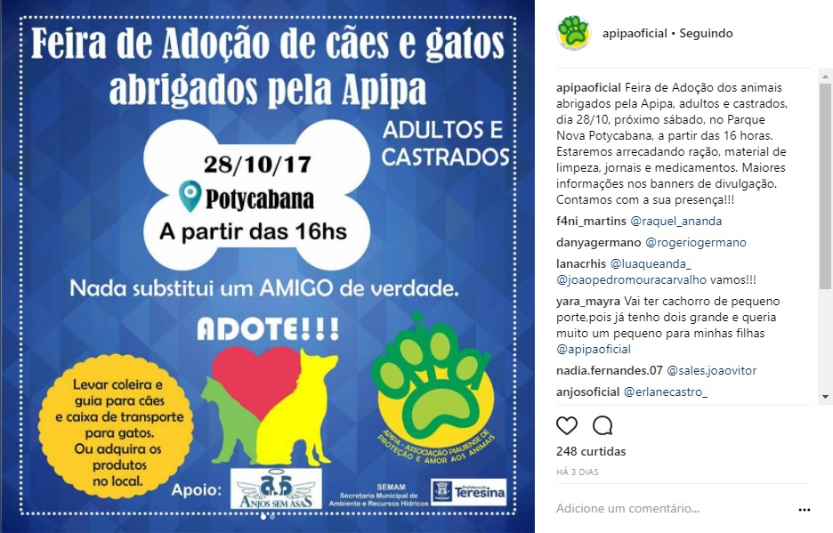 Feira de Adoção de Animais Apipa 