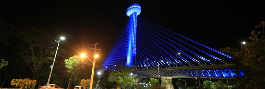 Ponte Estaiada