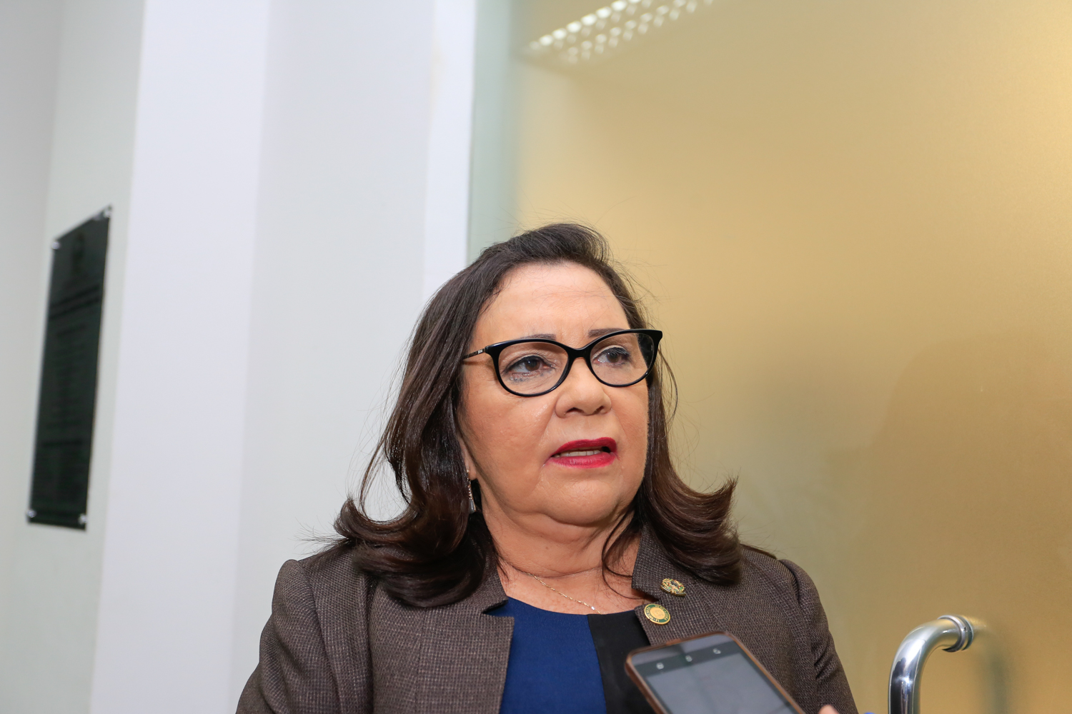 Vereadora Teresinha medeiros 