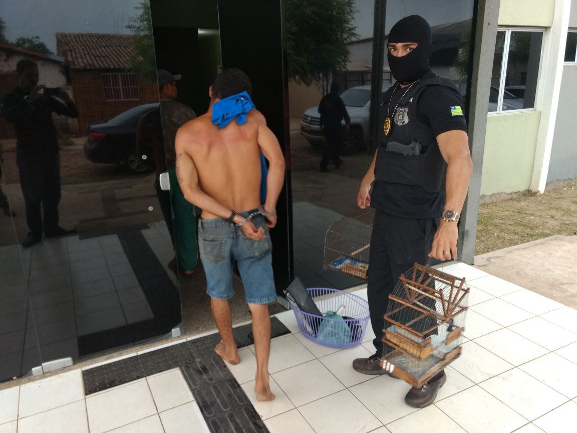 Prisão e apreensão de animais em Piripiri