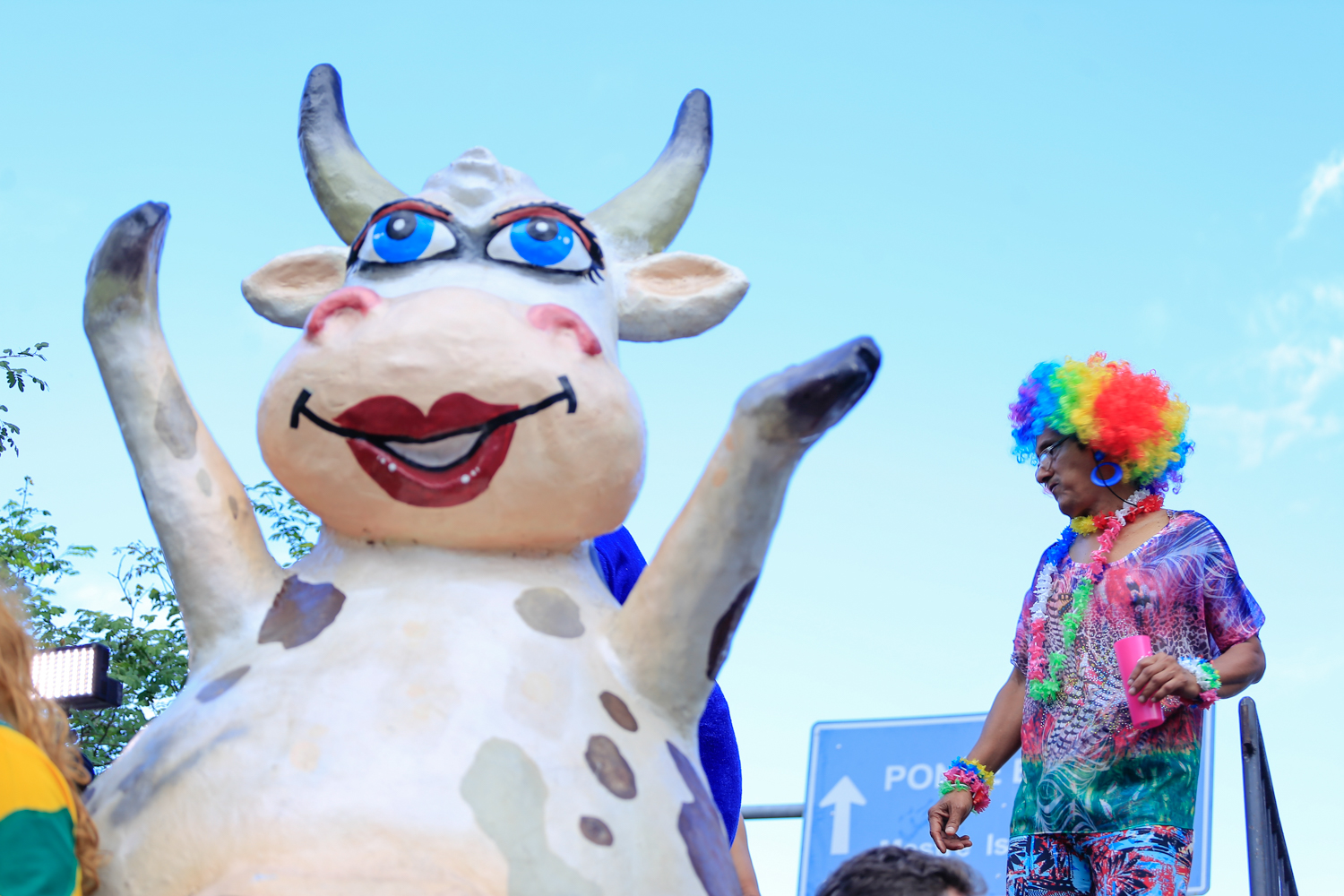 Vaca Atolada em Teresina Piauí 