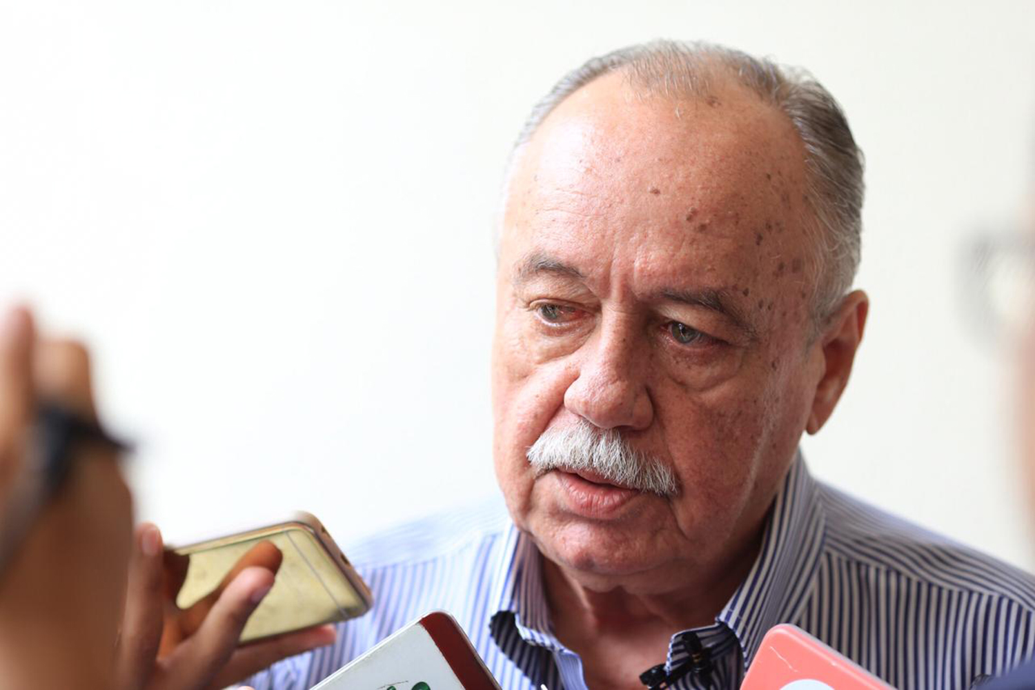 Freitas Neto 