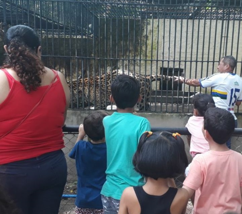 Homem invade área de segurança e toca em onça no Parque Zoobotânico de Teresina