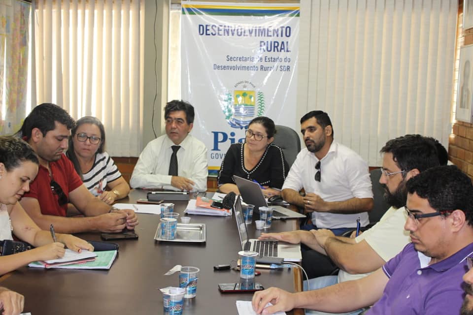 Apresentação da 4ª edição do Festival do Peixe