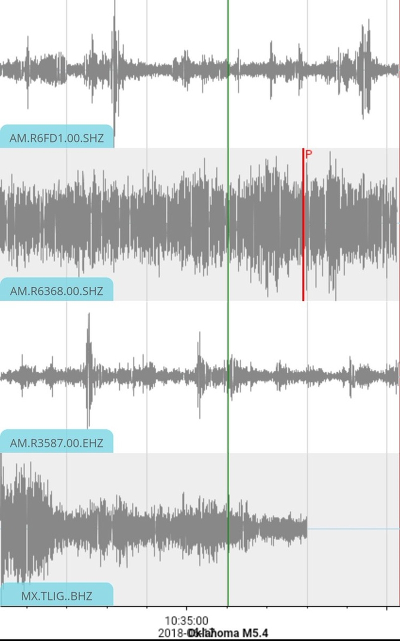 Terremoto artificial foi sentido na Cidade do México durante gol da seleção mexicana contra a Alemanha