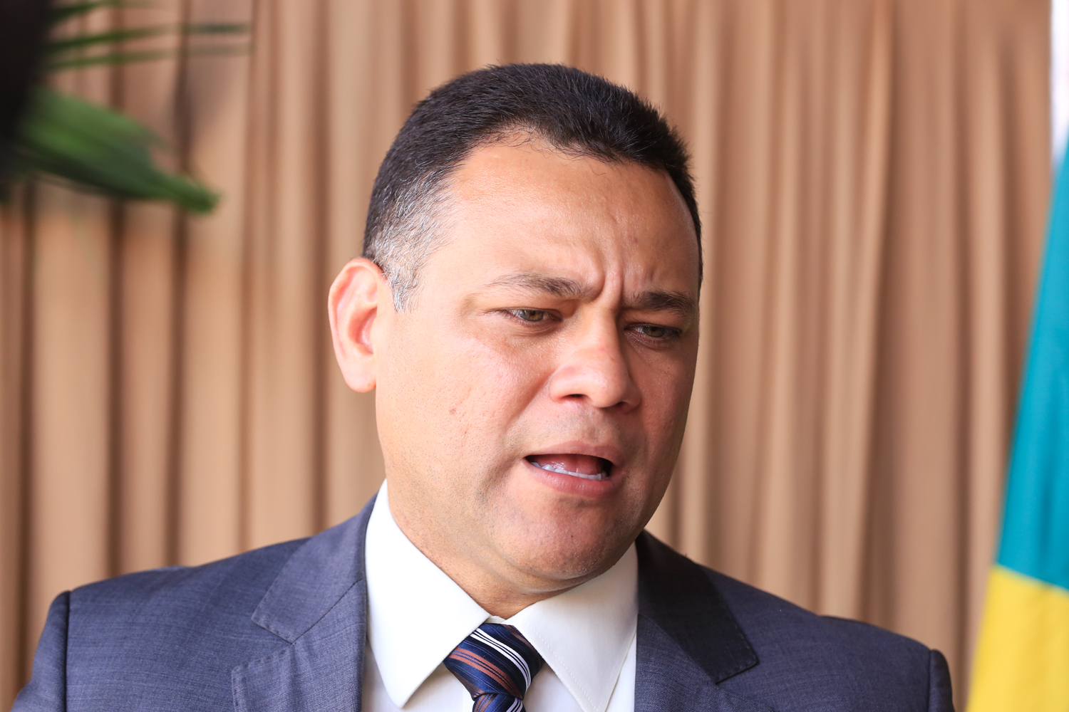 Delegado Riedel Batista