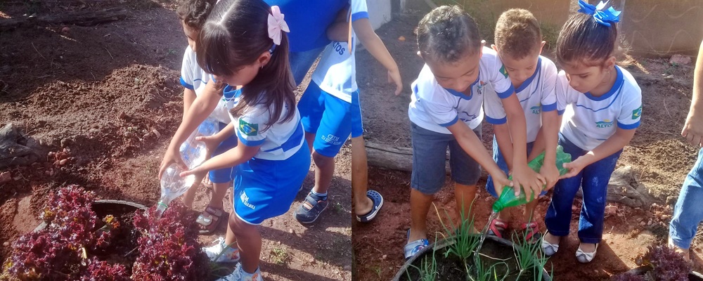 Horta orgânica em creche de Altos