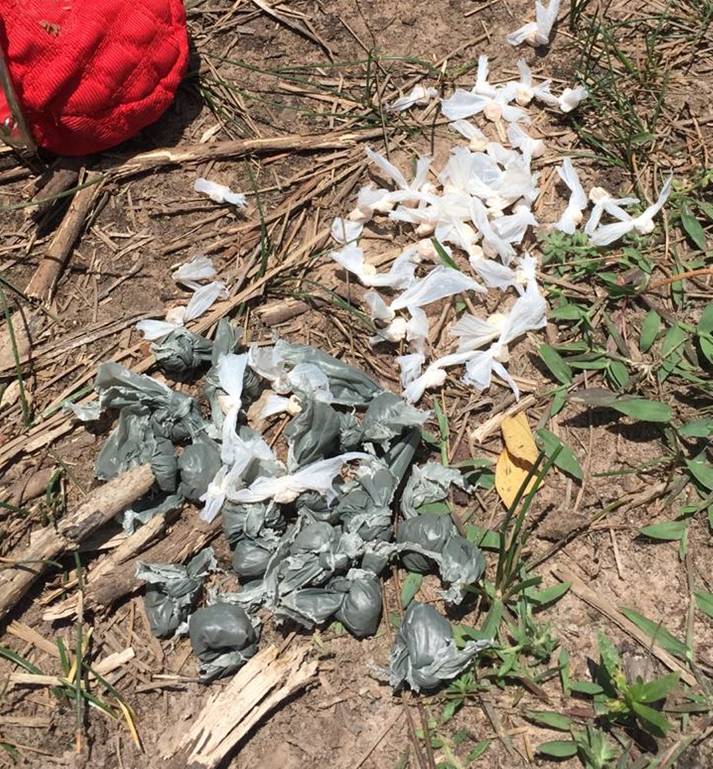 Drogas encontradas com os acusados