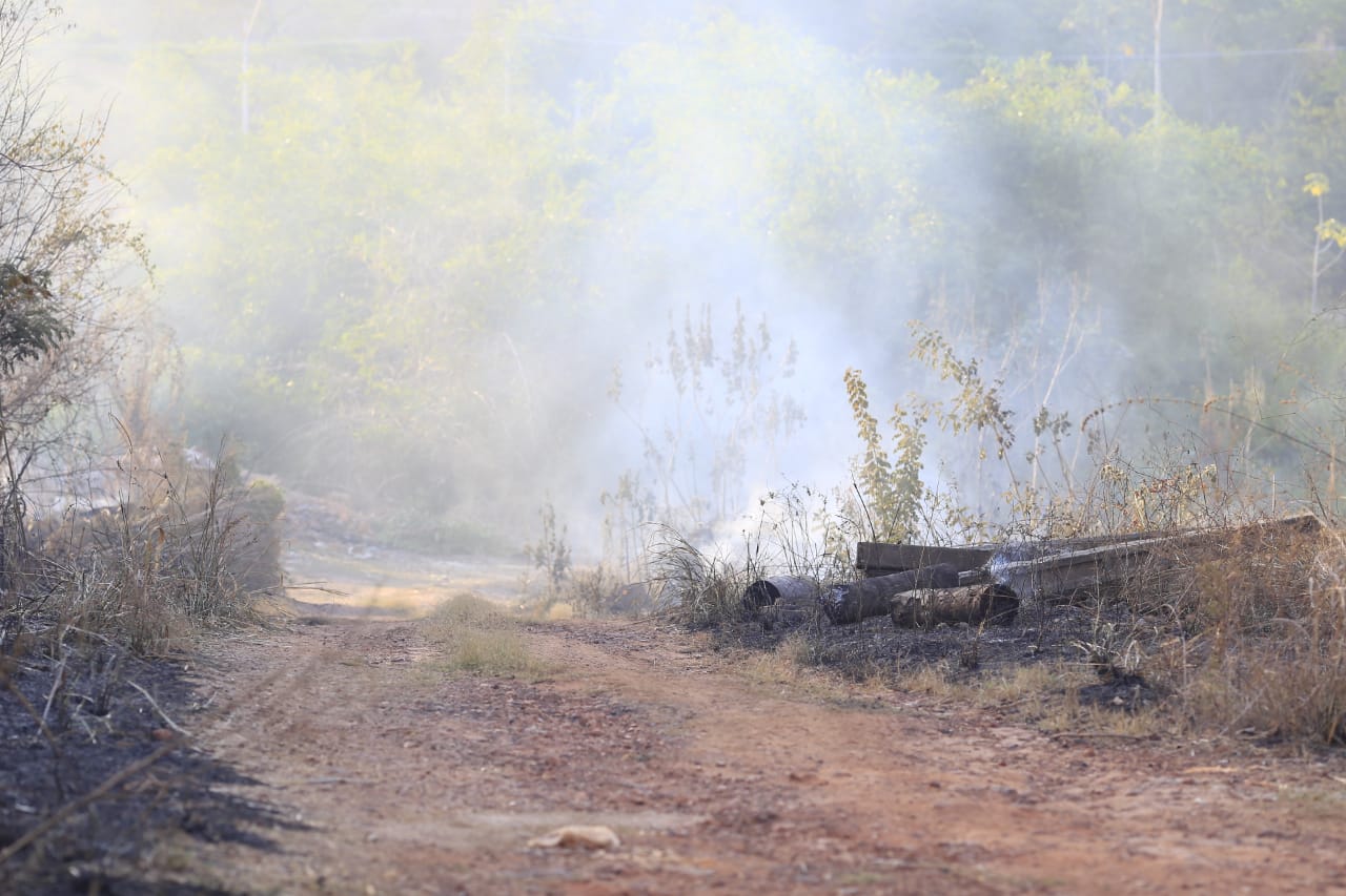 Incêndio atingiu vegetação na beira da estrada