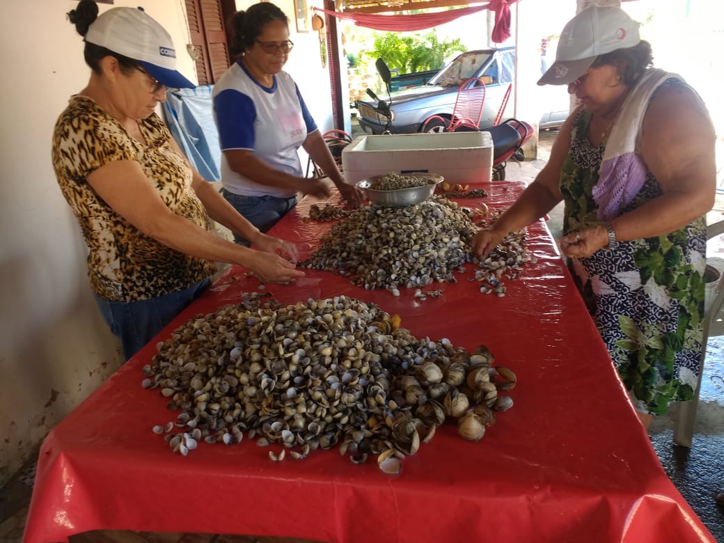 Tratando os mariscos