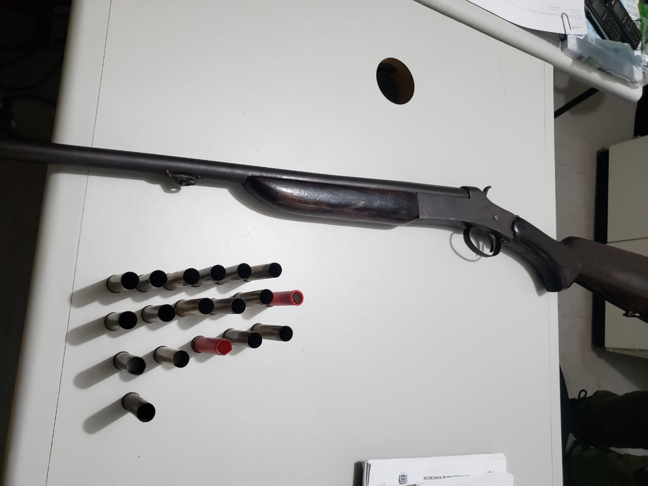Arma e cartuchos apreendidos