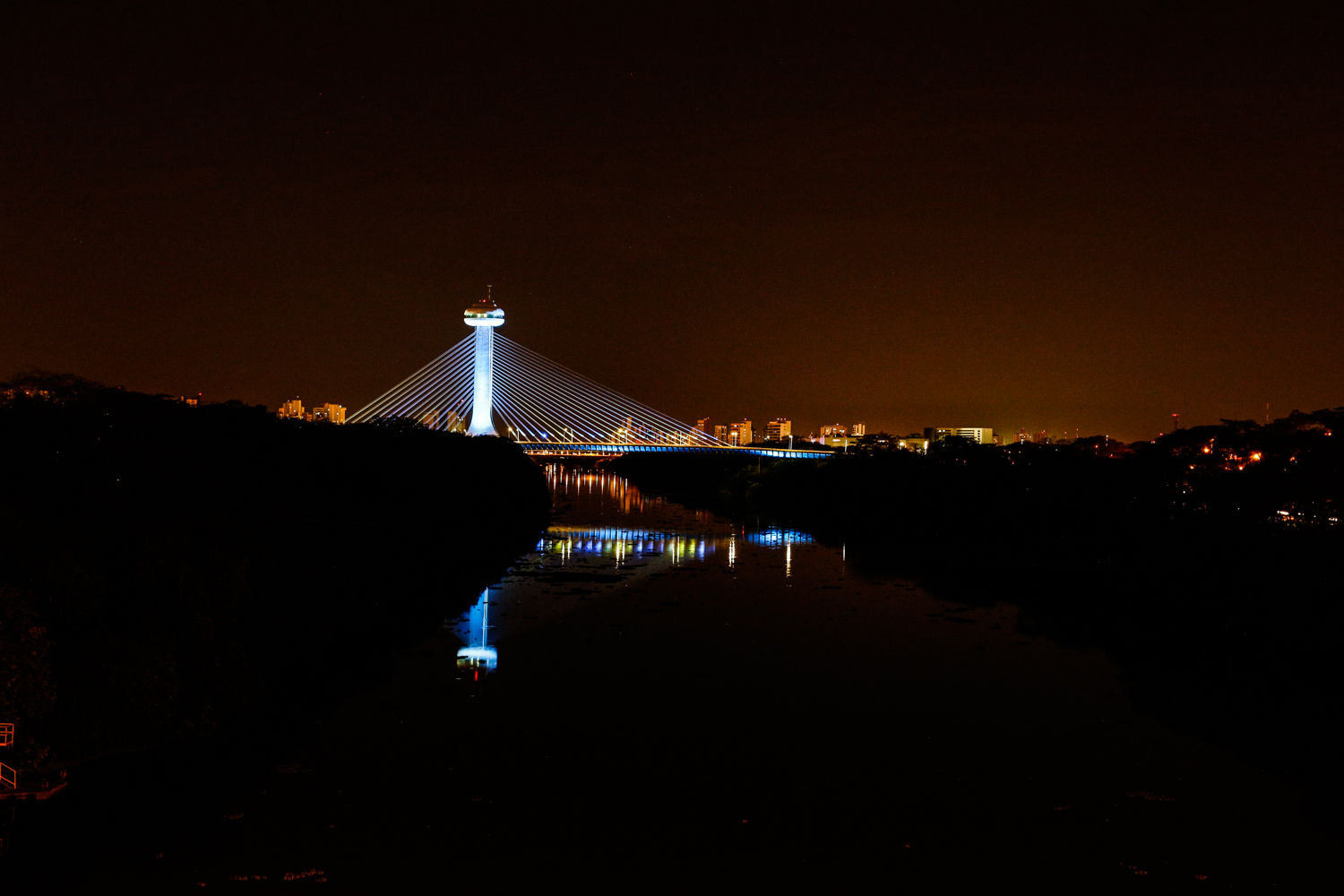 Ponte Estaiada