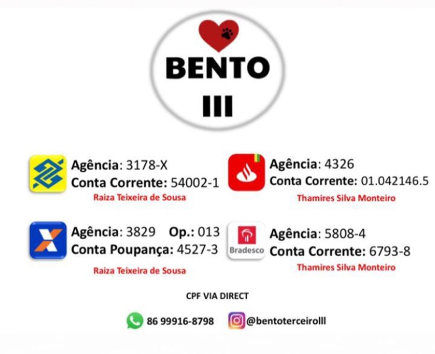 A ONG está recebendo doações para ajudar a custear o tratamento do Chico