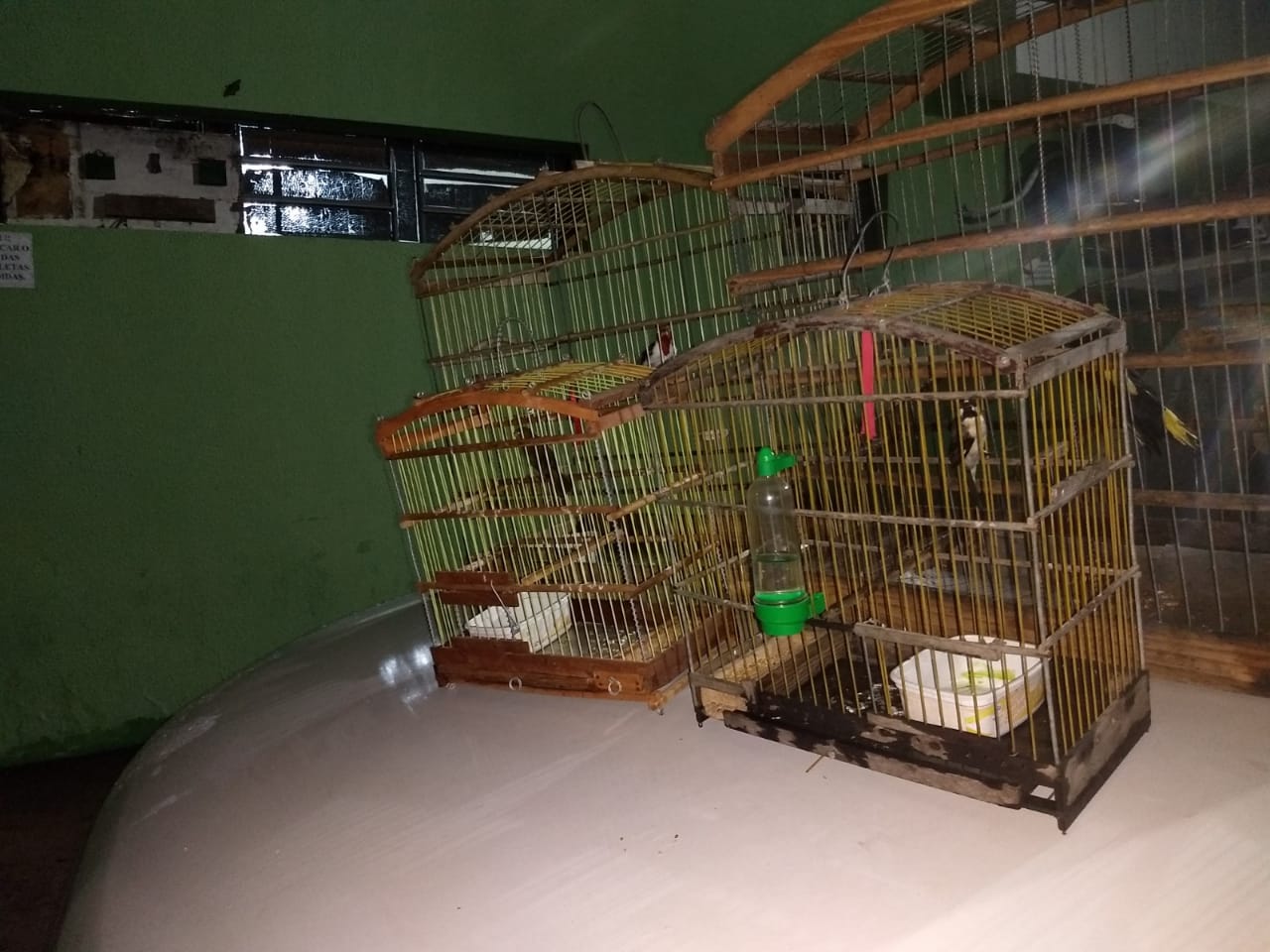 Gaiolas onde os pássaros estavam