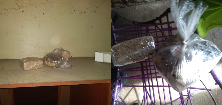 Droga encontrada na casa de Paulo