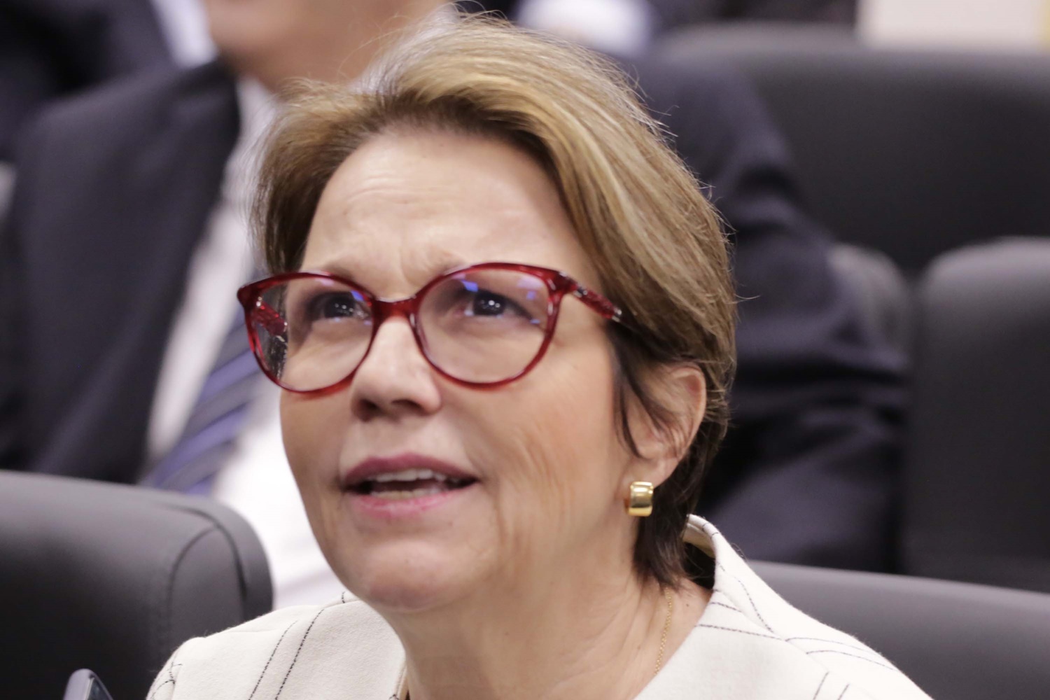 Ministra Teresa Cristina