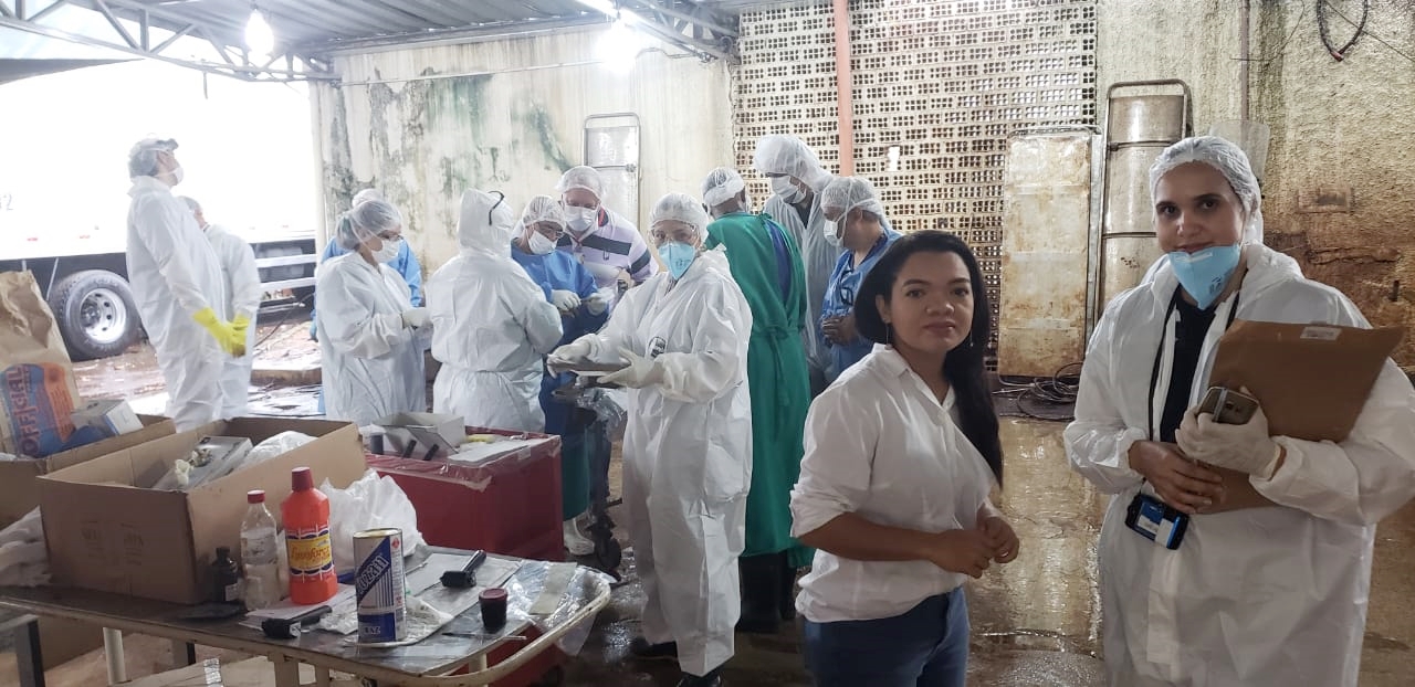 Perita criminal em Brumadinho
