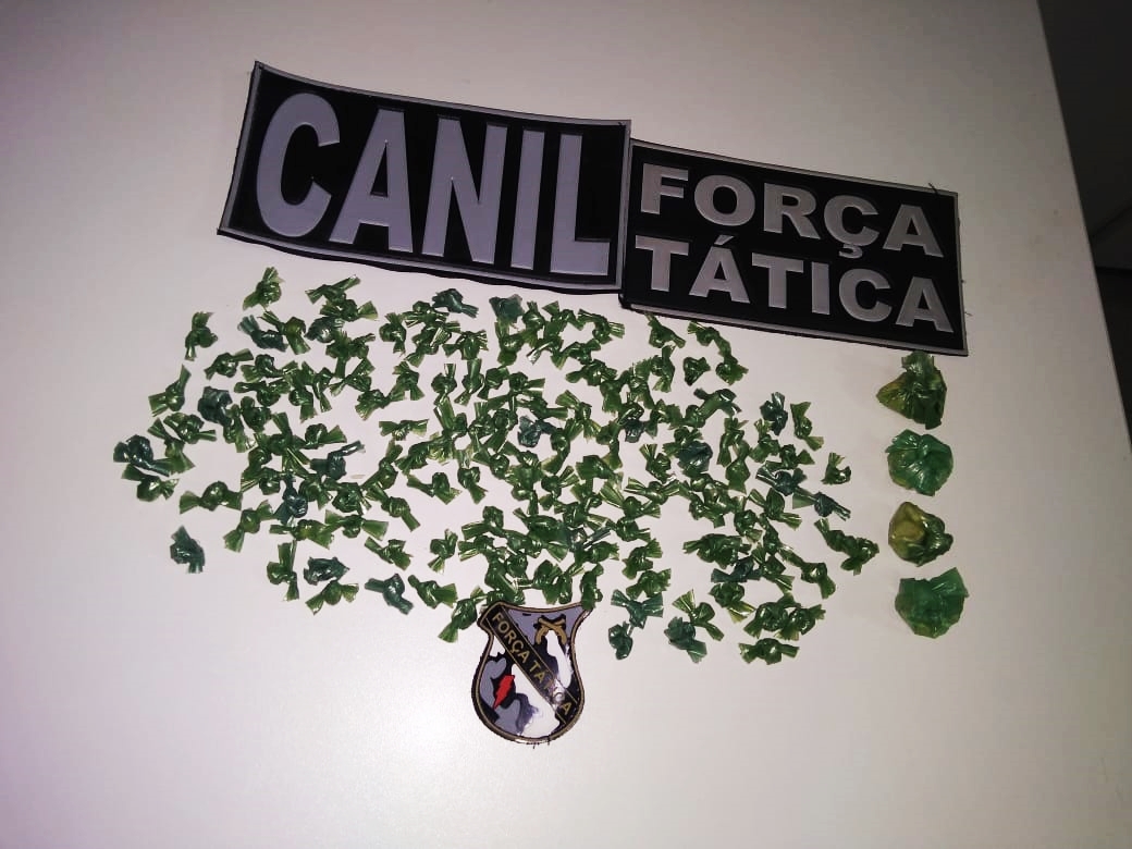 Parte da droga apreendida