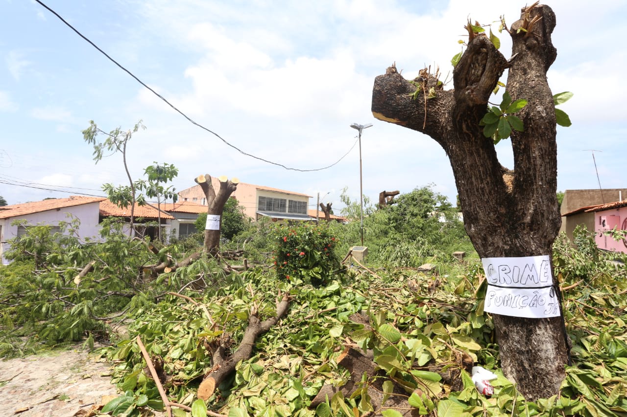 Árvores foram destruídas na Praça Gentil Macedo