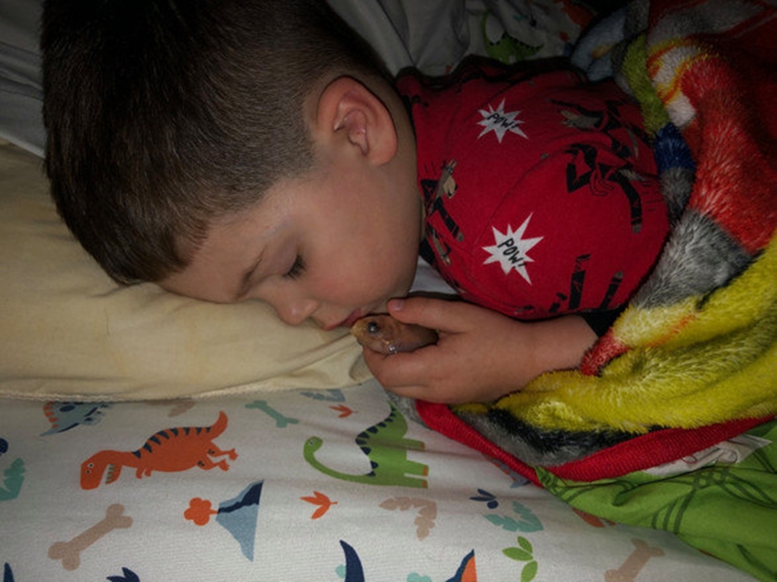 O menino amava tanto seu peixe que resolveu tirá-lo do aquário para que pudessem dormir abraçados