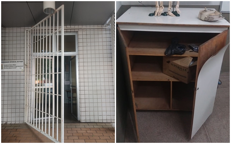 Laboratório de Anatomia