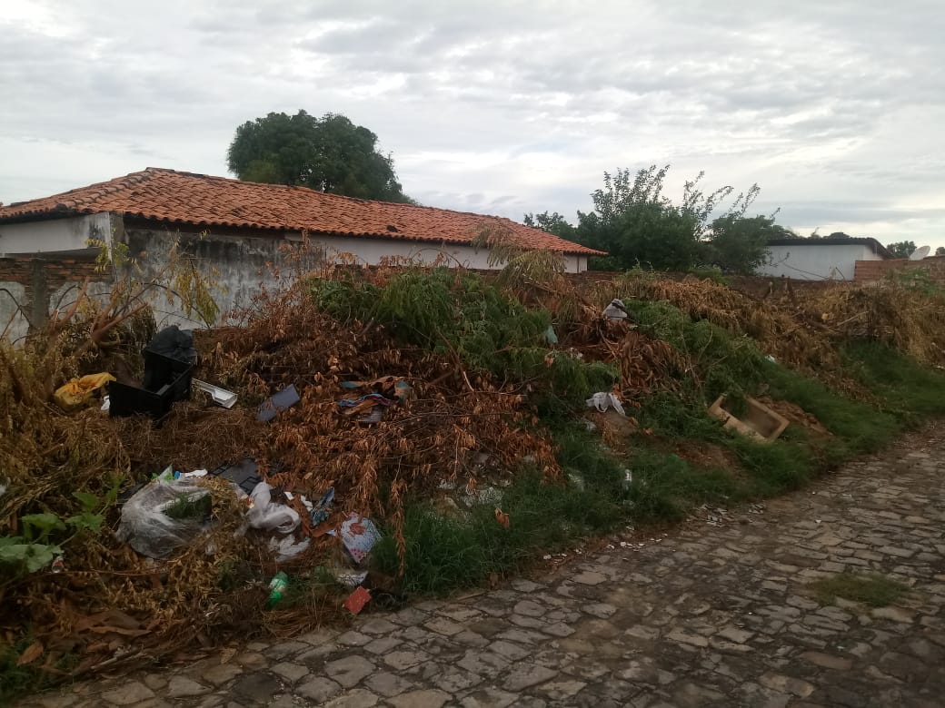 Terreno abandonado 