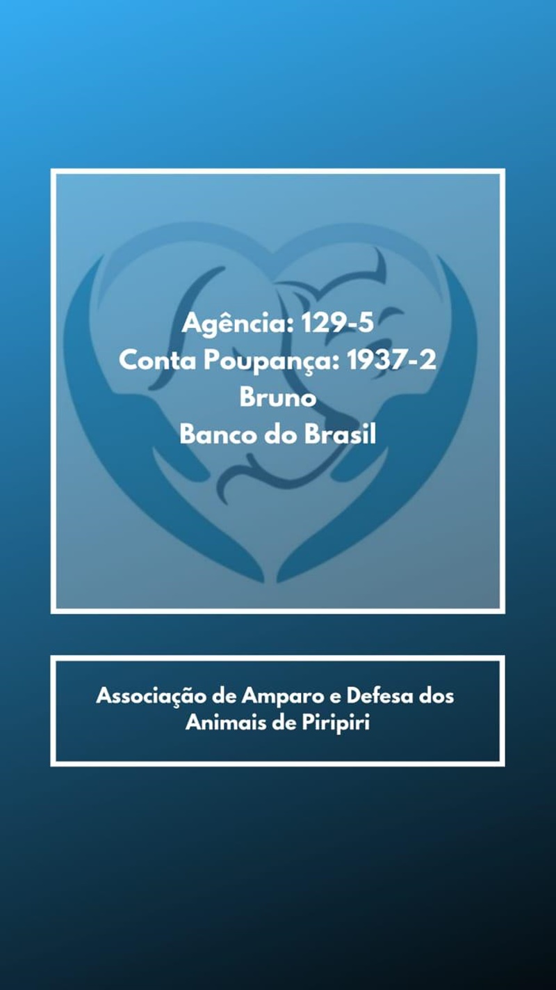 Campanha