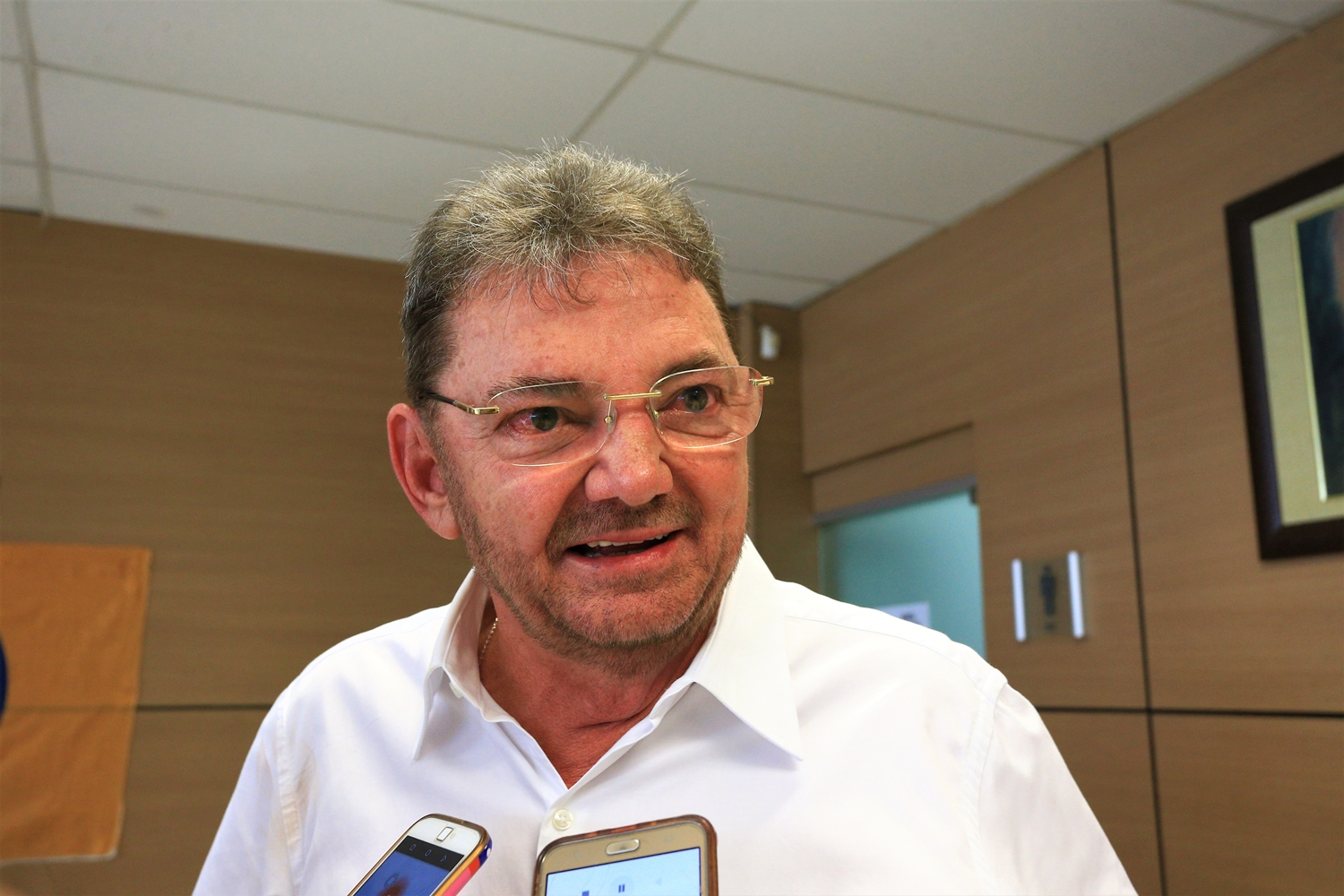 Wilson Martins 