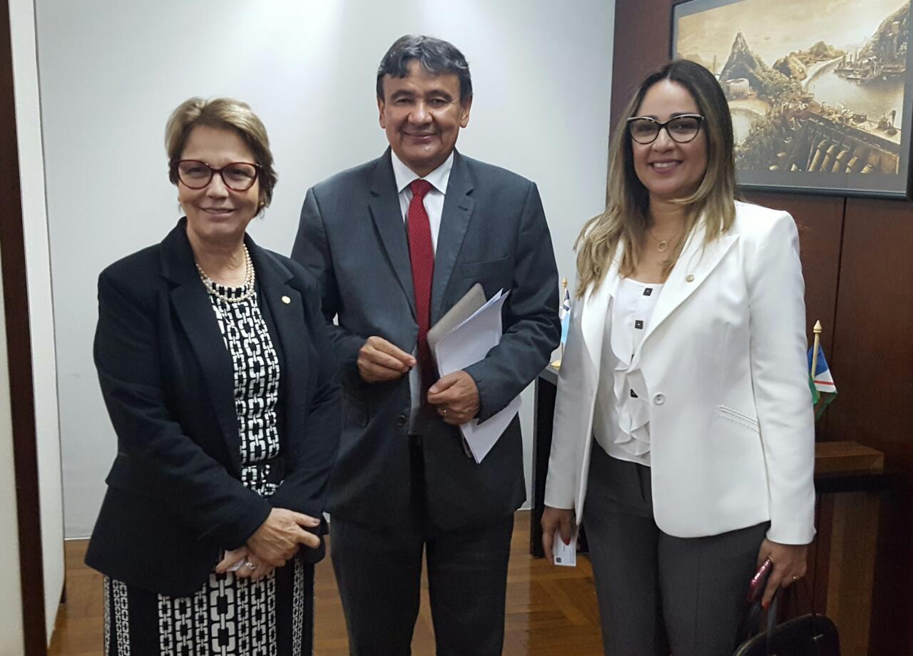 Tereza Cristina, Wellington Dias e Rejane