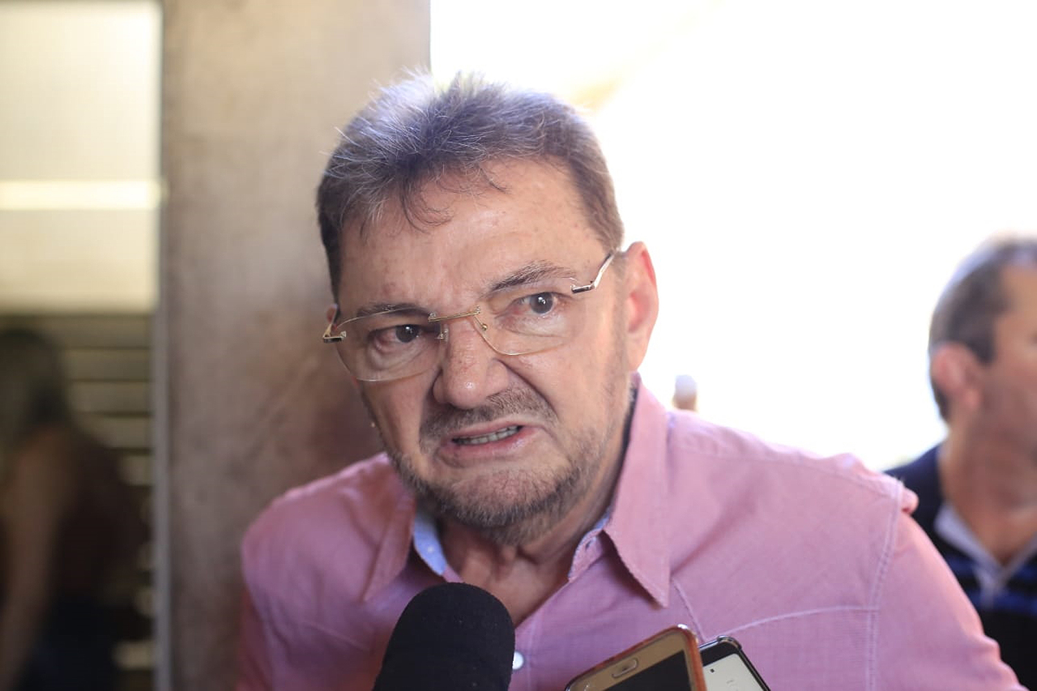 Wilson Martins 