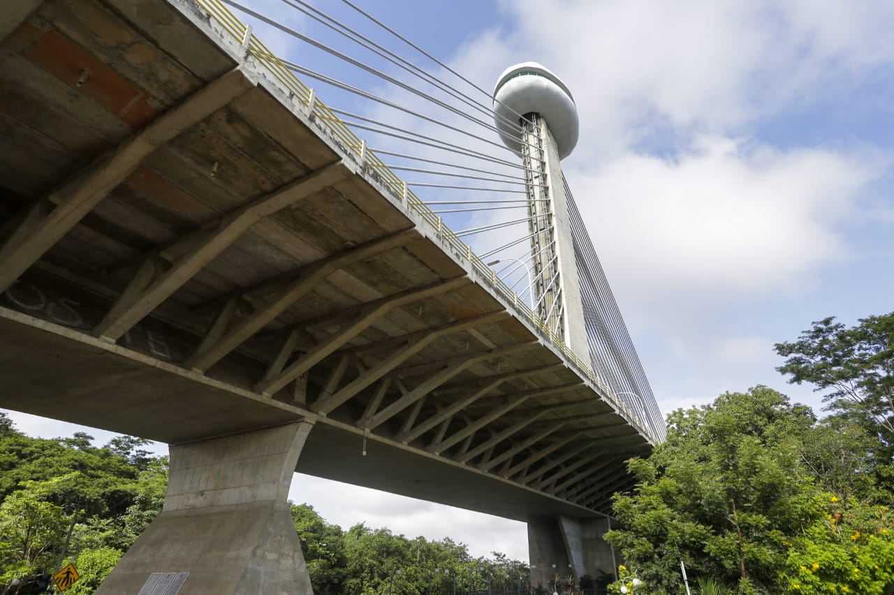 Ponte Estaiada