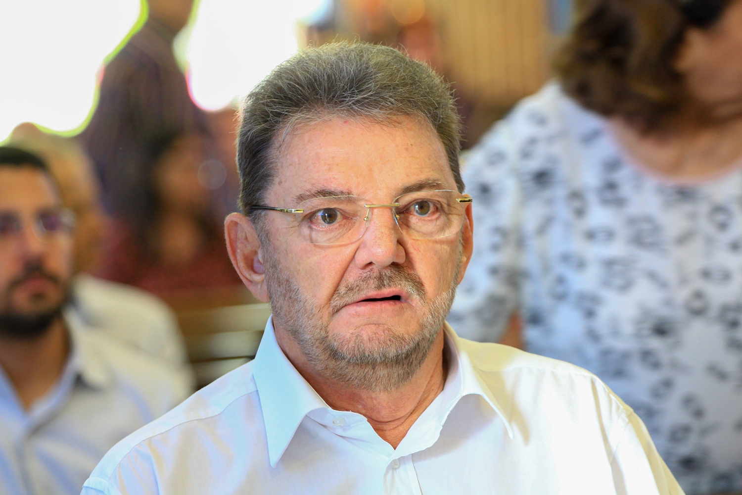Wilson Martins