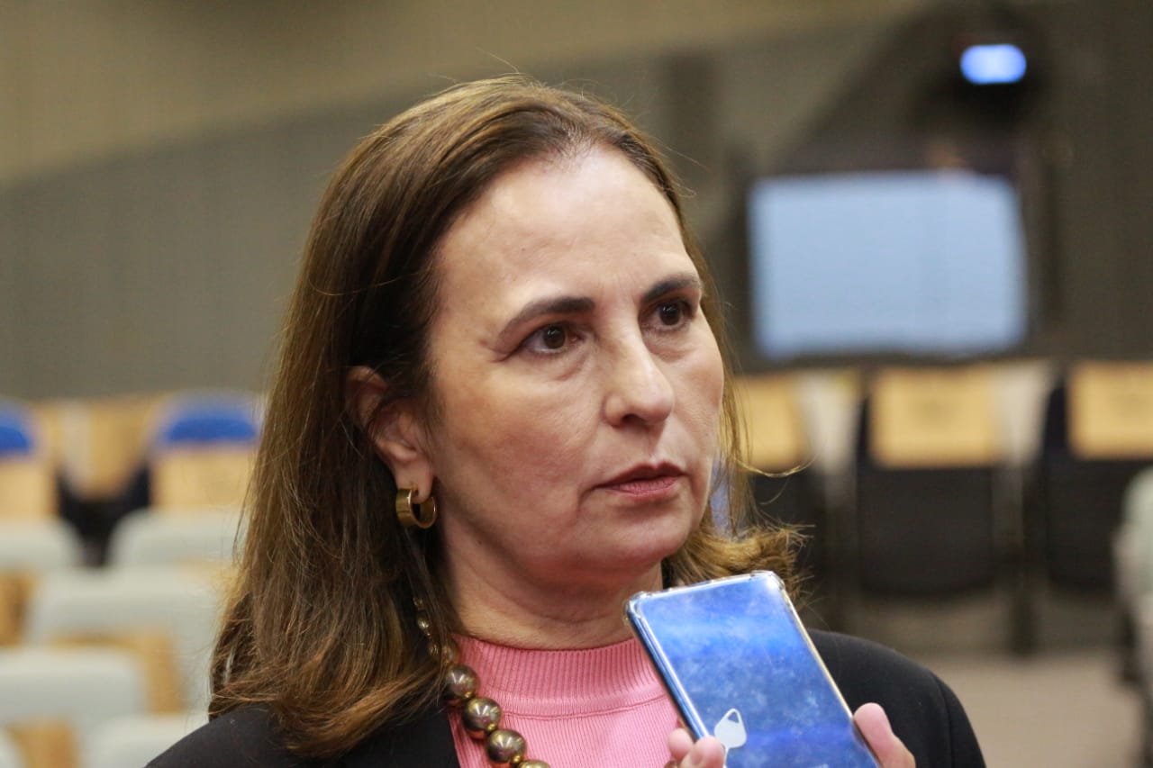 Solange Azevedo, gerente de unidade de políticas públicas e desenvolvimento territorial do Sebrae Piauí