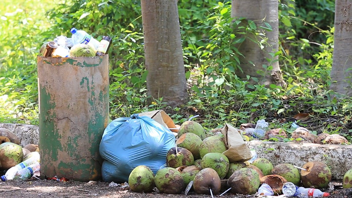 Situação do Zoobotânico