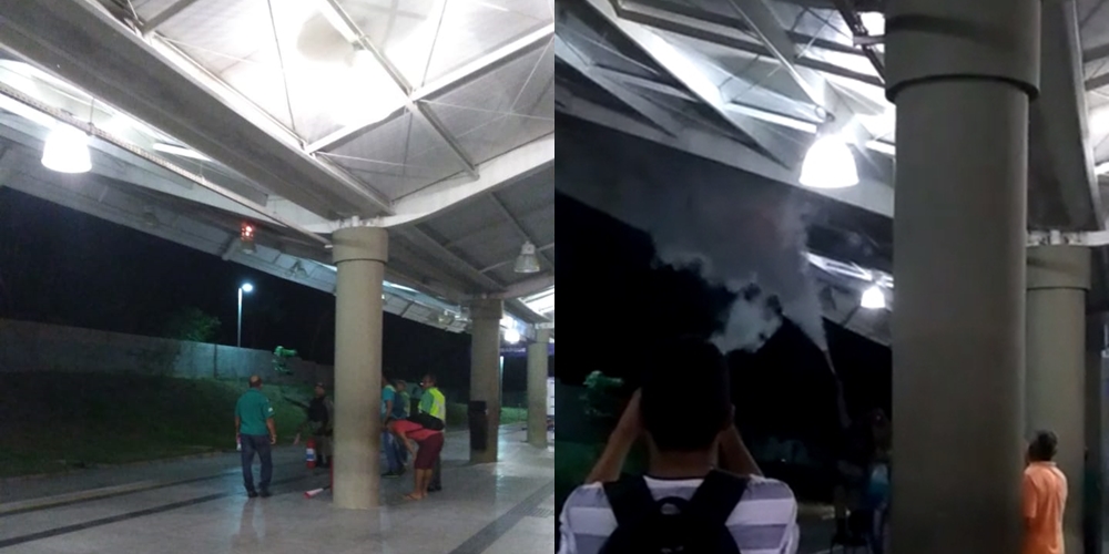 Princípio de incêndio atinge Terminal Zoobotânico em Teresina